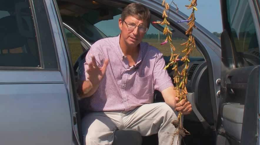 Meet Tim Clements
