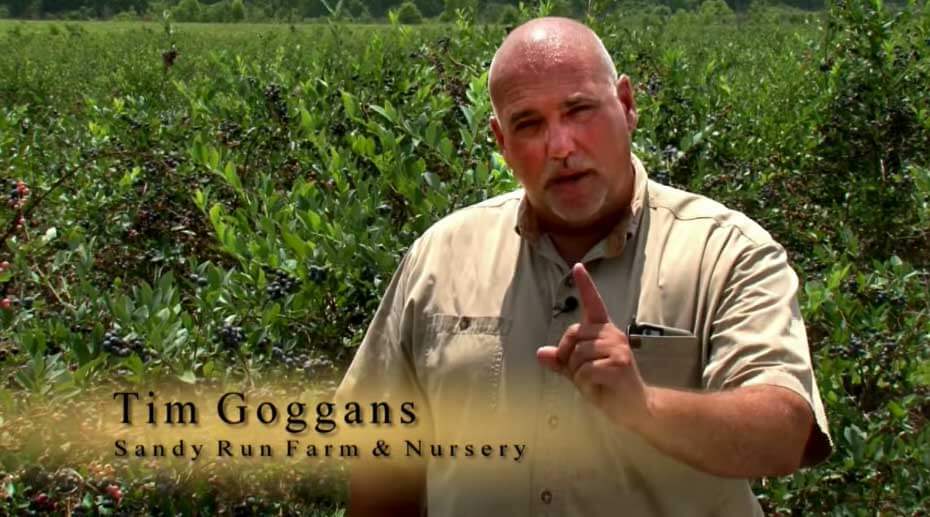 Meet Tim Goggans
