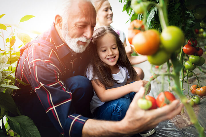 5 ideas for exploring local farms in the fall