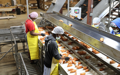 The local affects COVID-19 had on the sweet potato industry