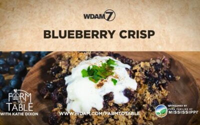 Katie Dixon’s Blueberry Crisp Recipe