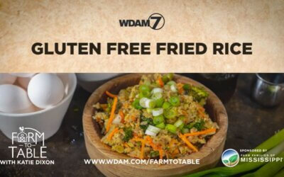 Katie Dixon’s Fried Rice Recipe
